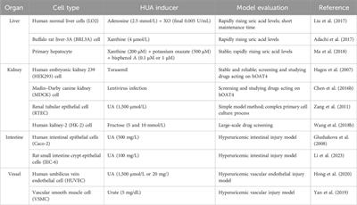 Hyperuricemia research progress in model construction and traditional Chinese medicine interventions